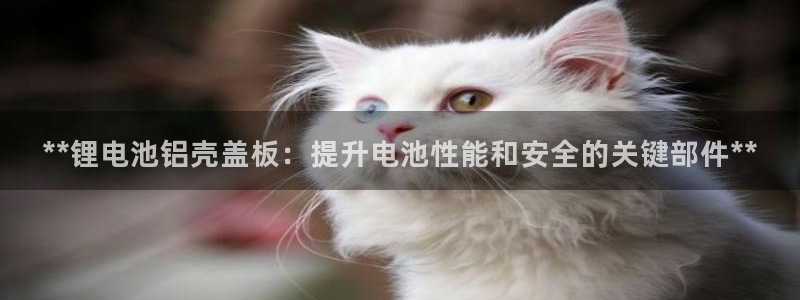 凯时官网下载客户端