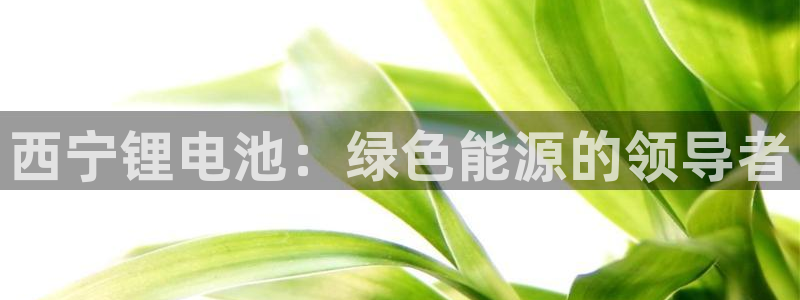 尊龙官方网址