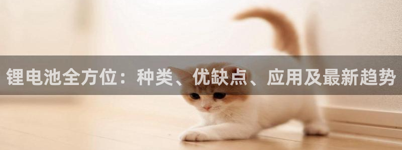z6尊龙凯时旗舰厅首页