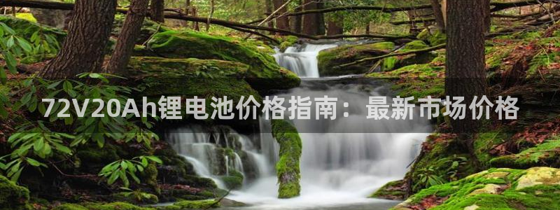 尊龙凯时 人生就是搏