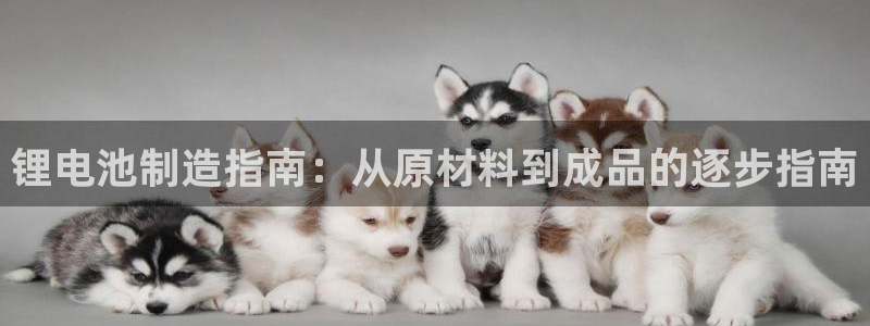 尊龙d88官网可靠送38元