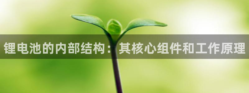 凯时游戏官方网站