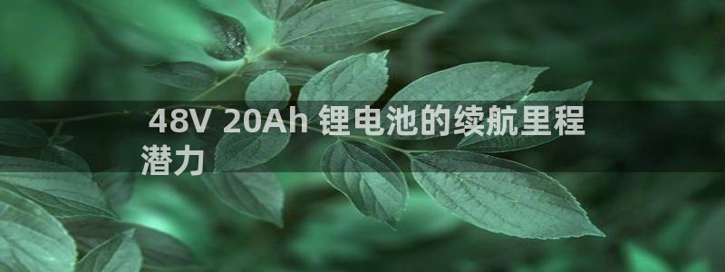 凯时K8国际