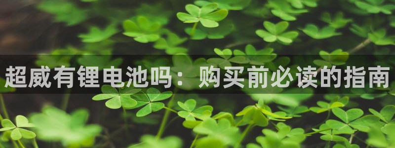 尊龙人生就是博ag旗舰厅