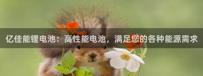 尊龙凯时干什么的