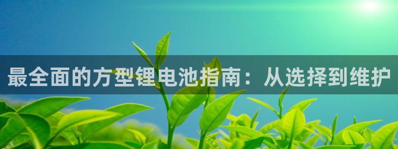 尊龙AG发财网