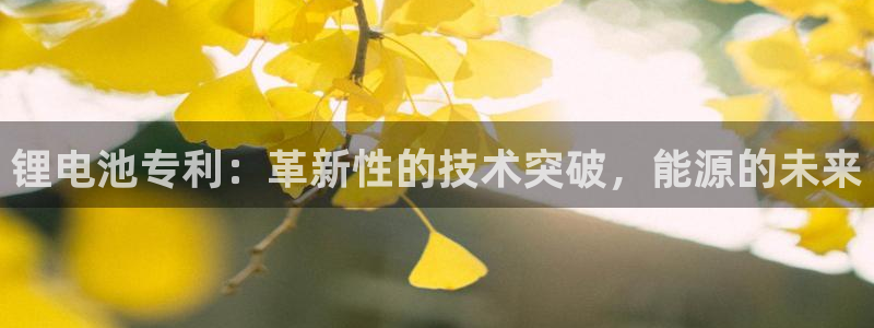 尊龙凯时vip
