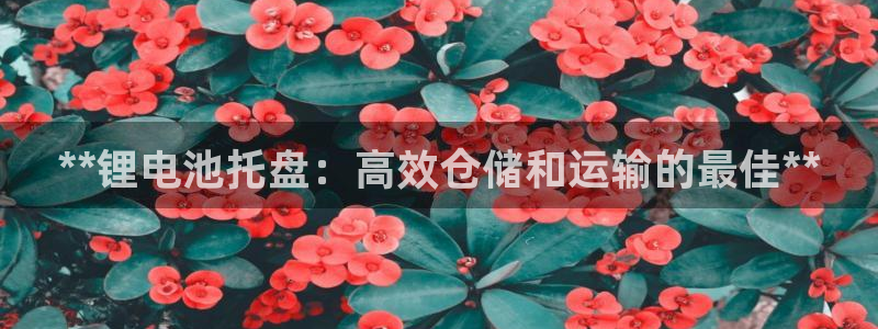 尊龙凯时提款一直审核中