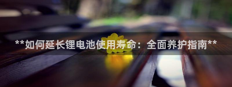 尊龙凯时白家乐Abb下载