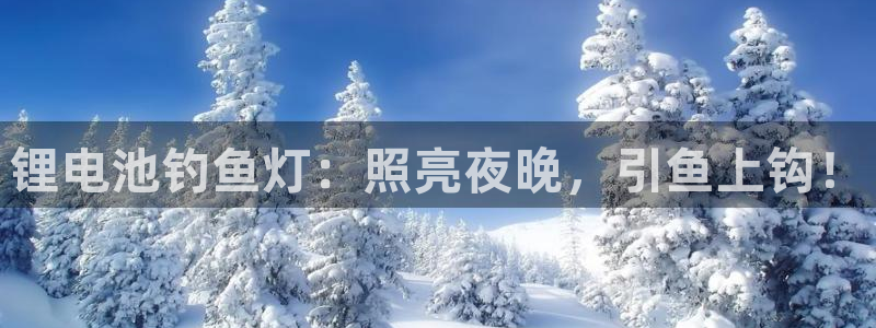 尊龙官网手机版下载