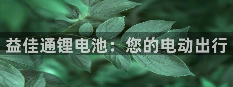 尊龙人生就是博官