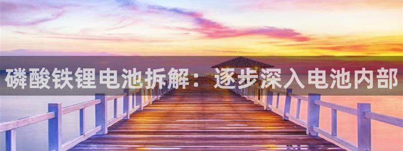 尊龙凯时提不了款