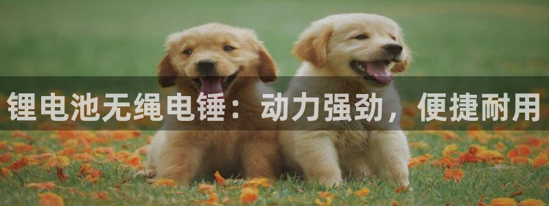 尊龙专访