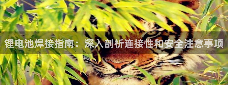 尊龙官方APP下载
