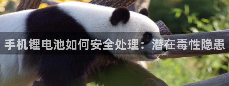 凯时首页地址
