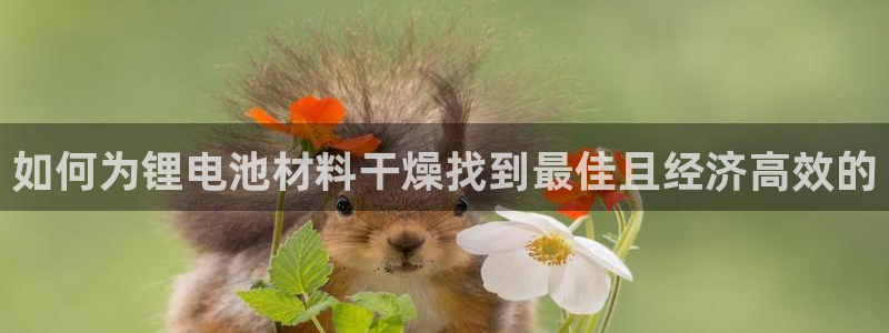 尊龙实业有限公司：如何为锂电池材料干燥找到最佳且经济高效的