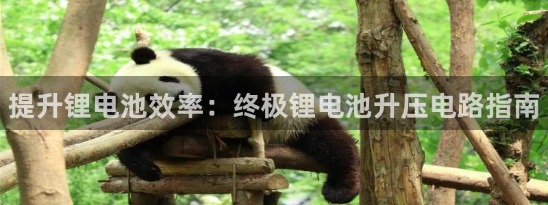 尊龙凯时注册入口：提升锂电池效率：终极锂电池升压电路指南