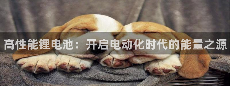 尊龙网站人生就是博
