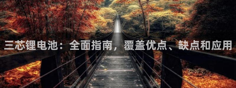 尊龙凯时为什么输了钱