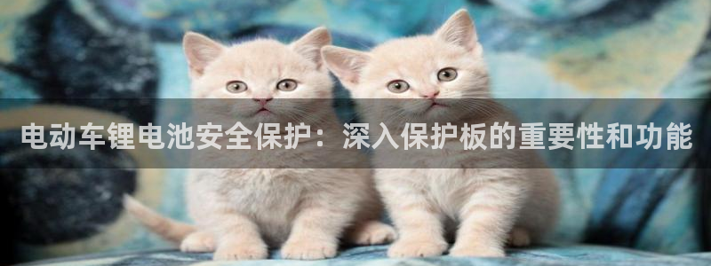 尊龙D88现金旧版