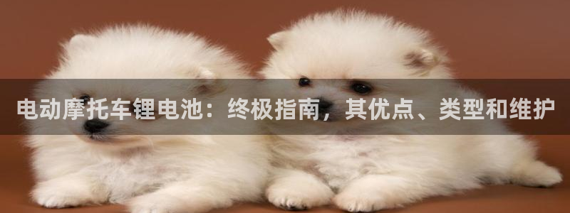 尊龙凯时人生就是搏平台