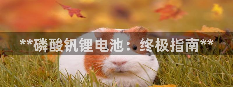 尊龙凯时官网