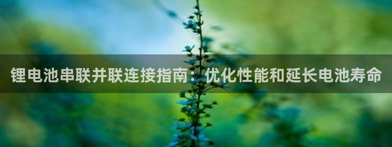 尊龙d88手机app免费下载：锂电池串联并联连接指南：优化性能和延长电池寿命