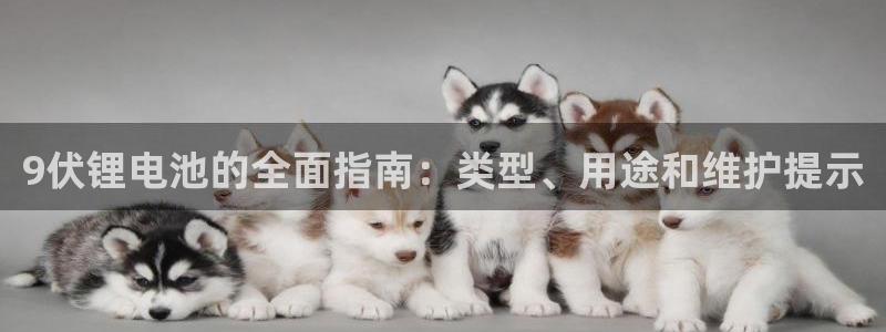 尊龙人生就是博旧版现金娱乐一下