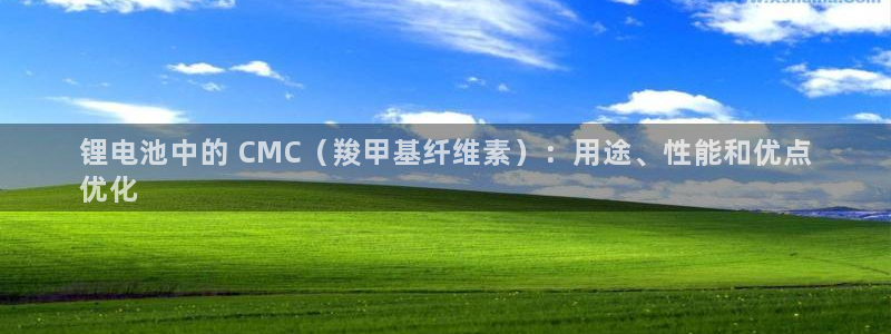 尊龙长相评价