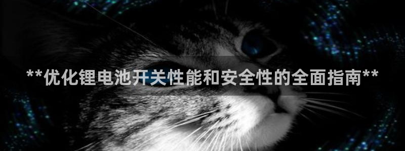 尊龙d88用现推选ag发财网：**优化锂电池开关性能和安全性的全面指南**
