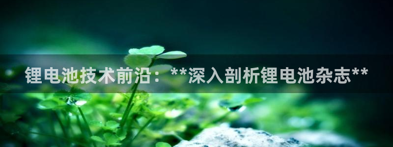 尊龙官网下载：锂电池技术前沿：**深入剖析锂电池杂志**