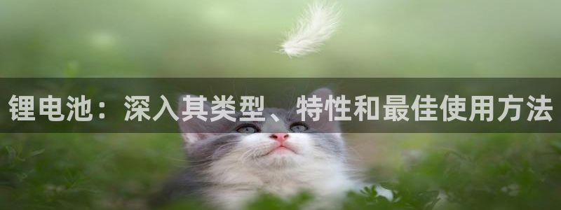 尊龙人生就是博下载：锂电池：深入其类型、特性和最佳使用方法