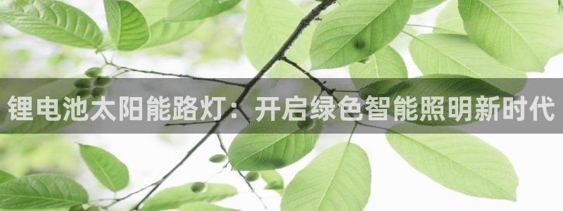 尊龙凯时请求参数不符合