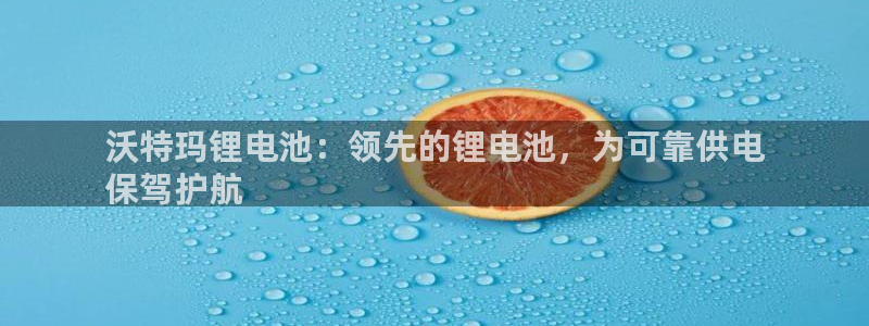 尊龙官网手机版下载