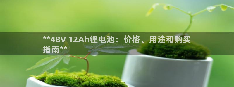 尊龙凯时台子：**48V 12Ah锂电池：价格、用途和购买
指南**