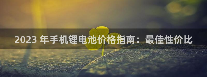尊龙官方网站最新版V9.3.06：2023 年手机锂电池价格指南：最佳性价比