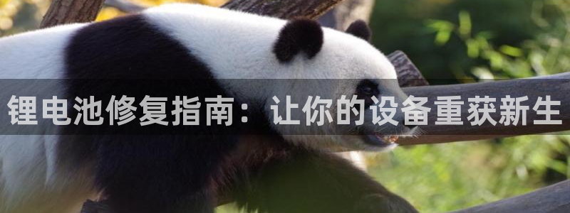 尊龙凯时 人生就是搏首页：锂电池修复指南：让你的设备重获新生