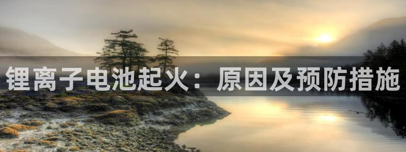 尊龙人生就是博D88