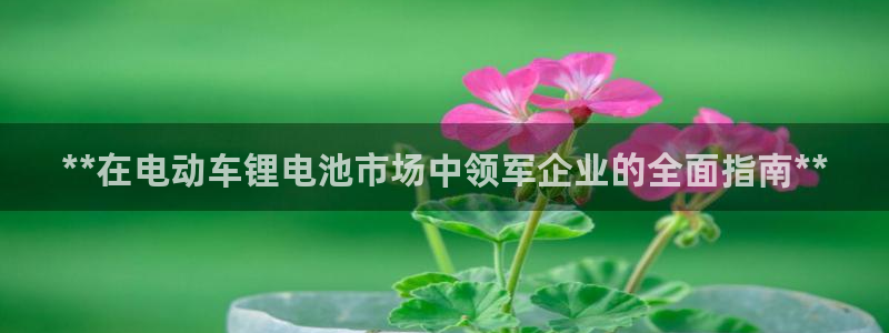 尊龙凯时v7要冲多少：**在电动车锂电池市场中领军企业的全面指南**