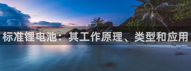 尊龙400
