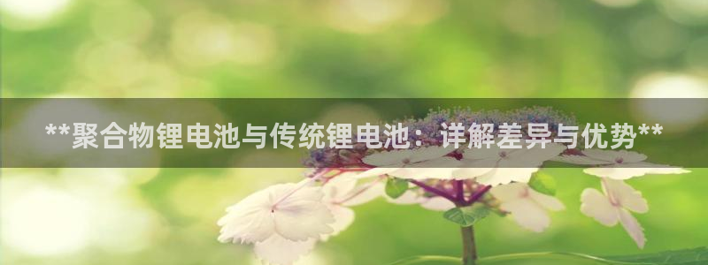 凯时app官网首页：**聚合物锂电池与传统锂电池：详解差异与优势**