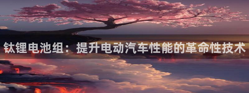 尊龙凯时人生就是搏z6com：钛锂电池组：提升电动汽车性能的革命性技术
