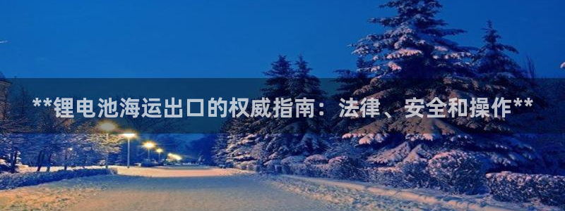 尊龙新版app首页：**锂电池海运出口的权威指南：法律、安全和操作**