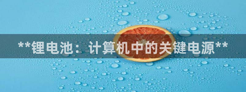 尊龙手机客户端下载：**锂电池：计算机中的关键电源**