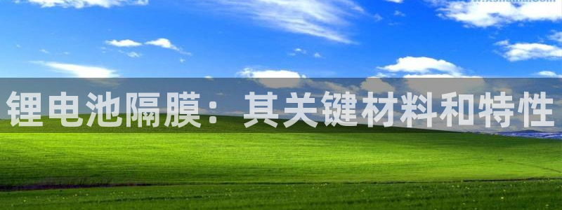 凯时尊龙官网网址：锂电池隔膜：其关键材料和特性