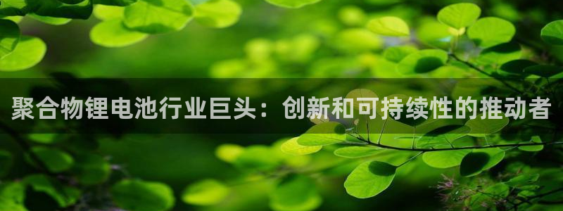 尊龙官网入口：聚合物锂电池行业巨头：创新和可持续性的推动者