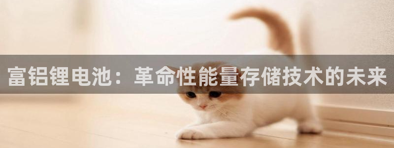 尊龙凯时官方网站：富铝锂电池：革命性能量存储技术的未来