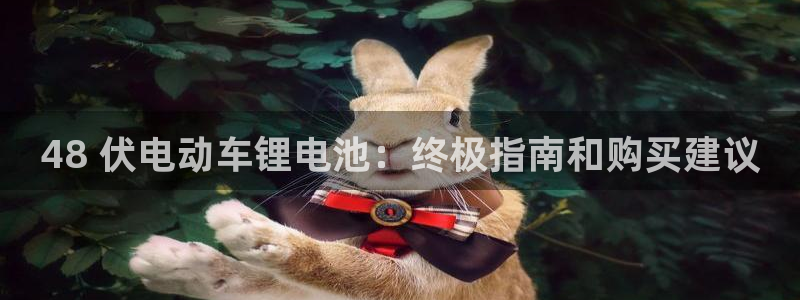 ag旗舰平台尊龙代言：48 伏电动车锂电池：终极指南和购买建议