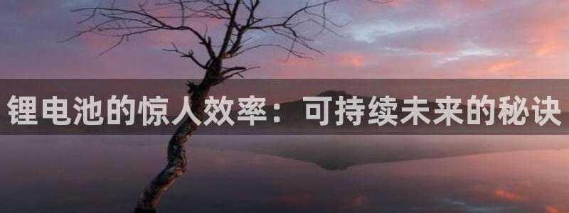 尊龙官网手机版：锂电池的惊人效率：可持续未来的秘诀