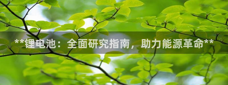 尊龙旗舰厅app：**锂电池：全面研究指南，助力能源革命**